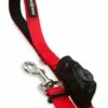 SWISSGEAR 3317 Multifunction Dog Leash - Red -US Suitcase Sales 2024 3317111590 05