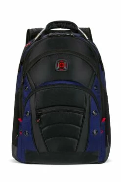 SWISSGEAR WENGER Synergy 16-inch Laptop Backpack